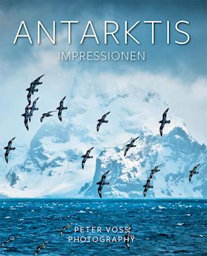 Cover for Peter Voss · Antarktis (Bok) (2023)