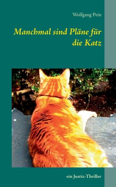 Cover for Pein · Manchmal sind Pläne für die Katz (Bok) (2018)