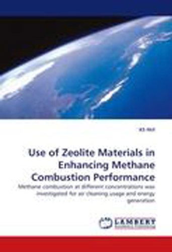 Cover for Ks Hui · Use of Zeolite Materials in Enhancing Methane Combustion Performance: Methane Combustion at Different Concentrations Was Investigated for Air Cleaning Usage and Energy Generation (Paperback Book) (2011)