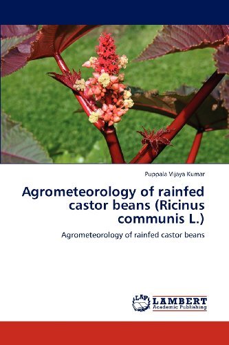Cover for Puppala Vijaya Kumar · Agrometeorology of  Rainfed Castor Beans (Ricinus Communis L.): Agrometeorology of Rainfed Castor Beans (Paperback Book) (2012)