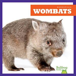 Cover for Natalie Deniston · Wombats - Marsupials (Hardcover Book) (2025)