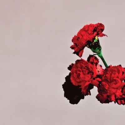 Cover for John Legend · Love In The Future (LP) (2023)