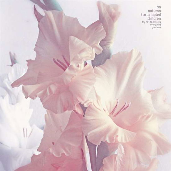 Try Not To Destroy Everything You Love - An Autumn For Crippled Children - Music - CARGO GERMANY - 0656191039314 - August 30, 2019