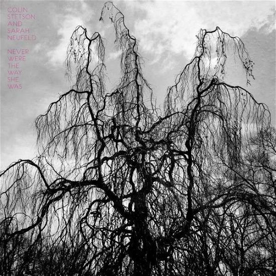 Cover for Colin Stetson · Never Were The Way She Was (LP) [180 gram edition] (2015)