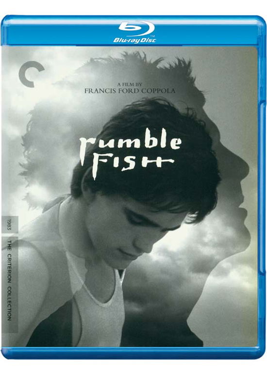 Cover for Criterion Collection · Rumble Fish/bd (Blu-Ray) (2017)