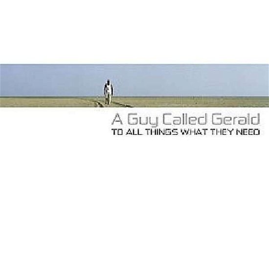Cover for A Guy Called Gerald (LP) (2005)