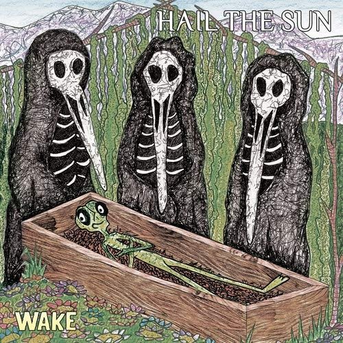 Cover for Hail The Sun · Wake (LP) (2022)
