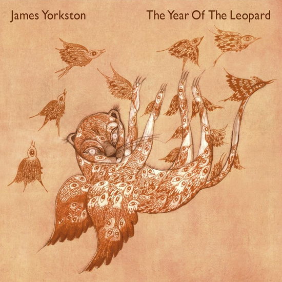 Year of the Leopard - James Yorkston - Musik - DOMINO RECORD CO. - 0887828018314 - 7. Juli 2023