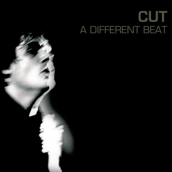 Cover for Cut · A Different Beat (CD) (2018)