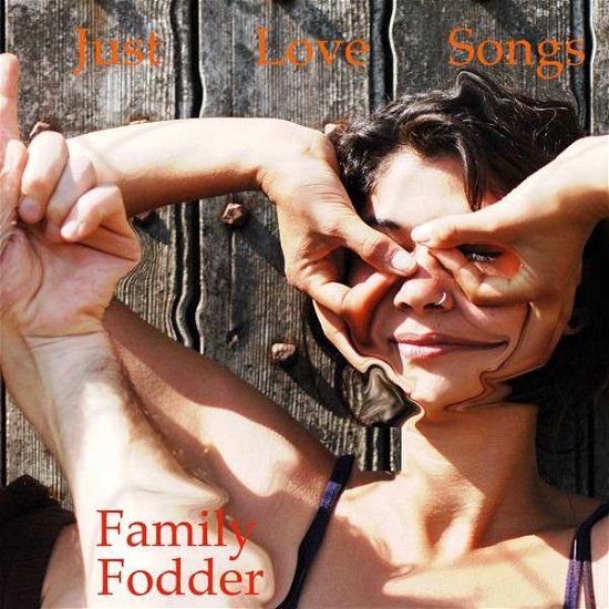 Cover for Family Fodder · Just Love Songs (LP) (2014)