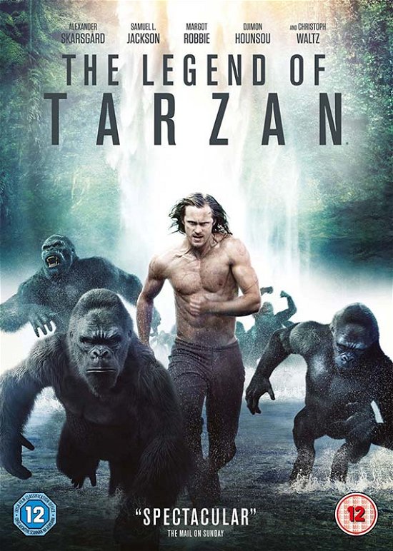 Cover for Legend of Tarzan [edizione: Re · The Legend Of Tarzan (DVD) (2016)