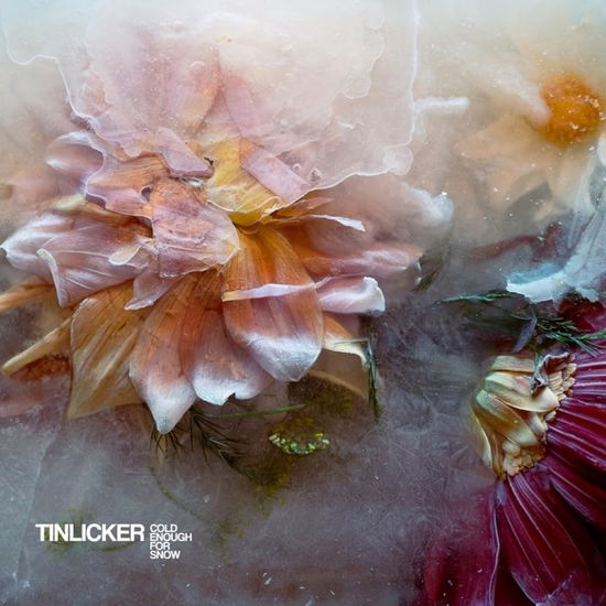 Cover for Tinlicker · Cold Enough For Snow (LP) (2024)