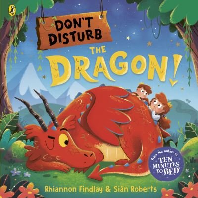Cover for Rhiannon Findlay · Don't Disturb the Dragon: from the author of the Ten Minutes to Bed series (Pocketbok) (2023)