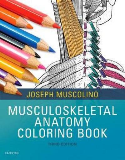 Cover for Muscolino, Joseph E. (Instructor, Purchase College, State University of New York, Purchase, New York; Owner, The Art and Science of Kinesiology, Redding, Connecticut) · Musculoskeletal Anatomy Coloring Book (Taschenbuch) (2017)