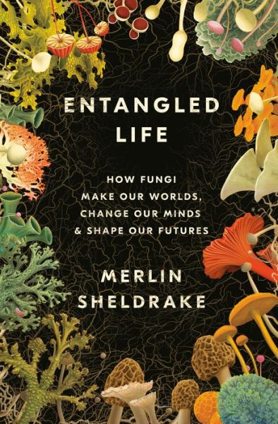 Cover for Merlin Sheldrake · Entangled Life How Fungi Make Our Worlds, Change Our Minds, and Shape Our Futures (Hardcover Book) (2020)