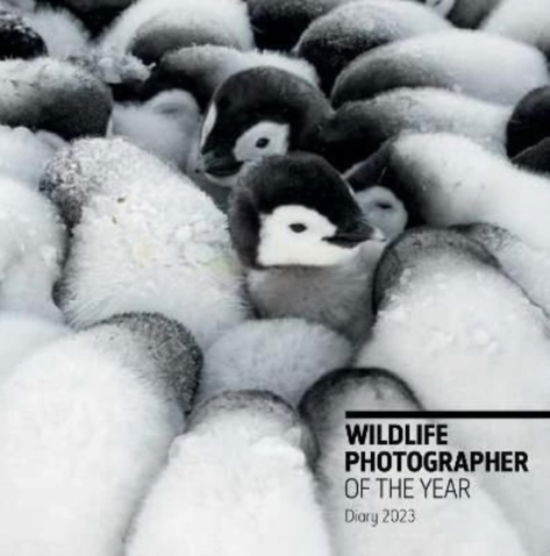 Cover for The Natural History Museum · Wildlife Photographer of the Year: Pocket Diary 2023 (Hardcover Book) (2022)