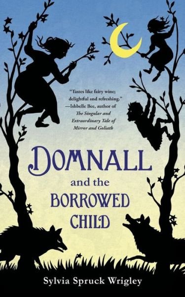 Cover for Sylvia Spruck Wrigley · Domnall and the Borrowed Child (Paperback Book) (2015)