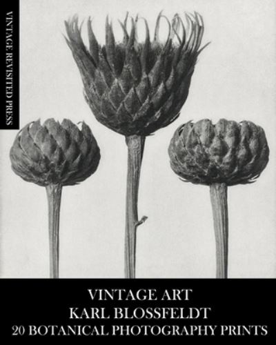 Cover for Vintage Revisited Press · Vintage Art: Karl Blossfeldt 20 Botanical Photography Prints (Pocketbok) (2024)