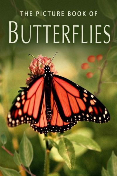 Cover for Sunny Street Books · The Picture Book of Butterflies: A Gift Book for Alzheimer's Patients and Seniors with Dementia - Picture Books - Nature (Paperback Book) (2019)