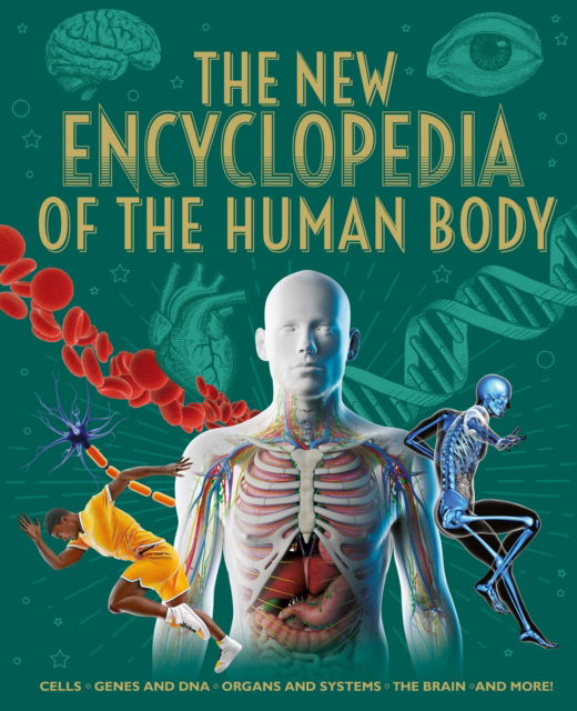 Cover for Claudia Martin · The New Encyclopedia of the Human Body: Cells, Genes and DNA, Organs and Systems, the Brain, and More! - Arcturus New Encyclopedias (Hardcover Book) (2025)