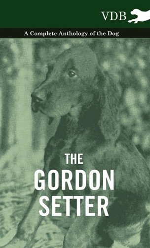 Cover for The Gordon Setter - a Complete Anthology of the Dog (Innbunden bok) (2010)