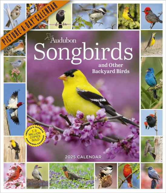 National Audubon Society · Audubon Songbirds and Other Backyard Birds Picture-A-Day® Wall Calendar 2025 (Kalender) (2024)