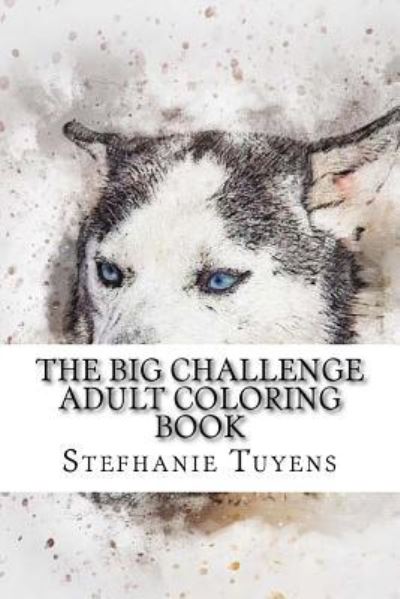 Cover for Stefhanie Tuyens · The BIG Challenge Adult Coloring Book (Pocketbok) (2017)