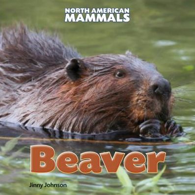 Cover for Jinny Johnson · Beaver (North American Mammals) (Innbunden bok) (2013)