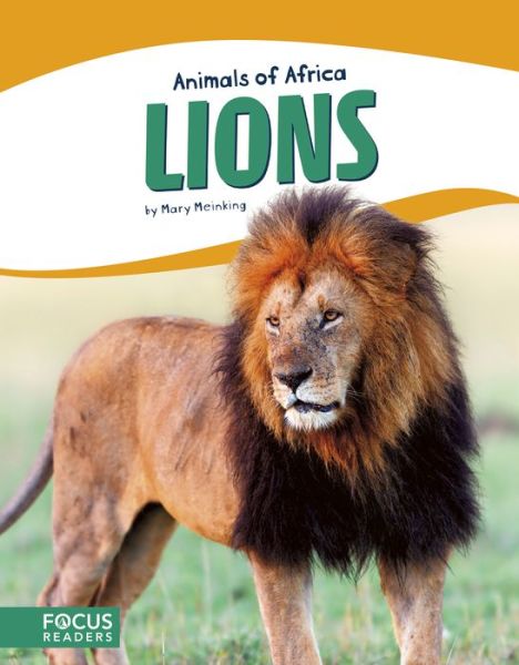 Cover for Mary Meinking · Animals of Africa: Lions (Paperback Book) (2017)