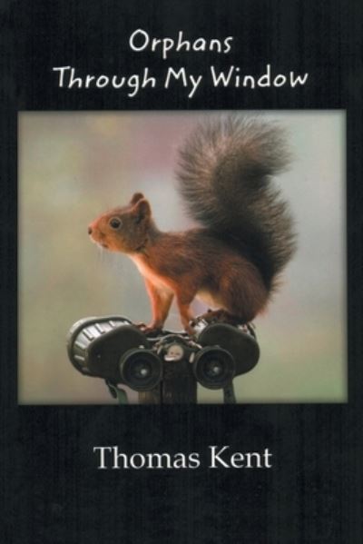 Orphans through My Window - Thomas Kent - Books - Page Publishing, Inc - 9781645440314 - February 23, 2021