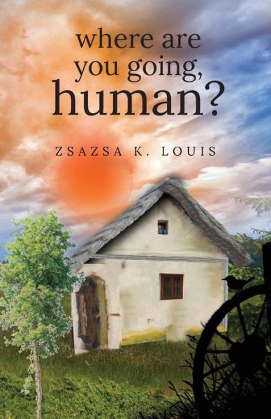 Cover for Zsazsa K Louis · Where Are You Going, Human? (Taschenbuch) (2020)