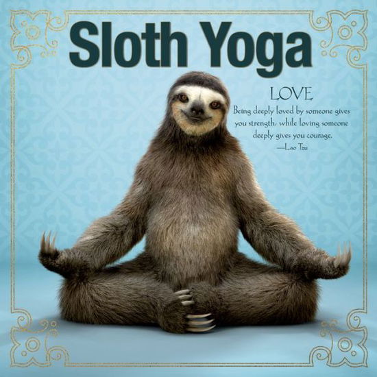 Cover for Willow Creek Press · Sloth Yoga (Hardcover Book) (2018)