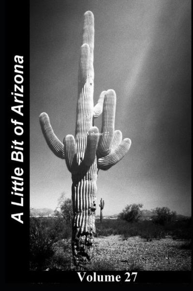 Cover for Paul Moore · A Little Bit of Arizona (Paperback Book) (2018)