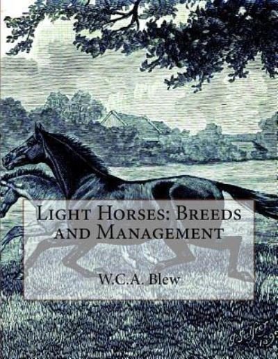 Cover for W C a Blew · Light Horses (Paperback Bog) (2018)