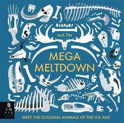 Cover for Jack Tite · Mega Meltdown (Hardcover Book) (2018)