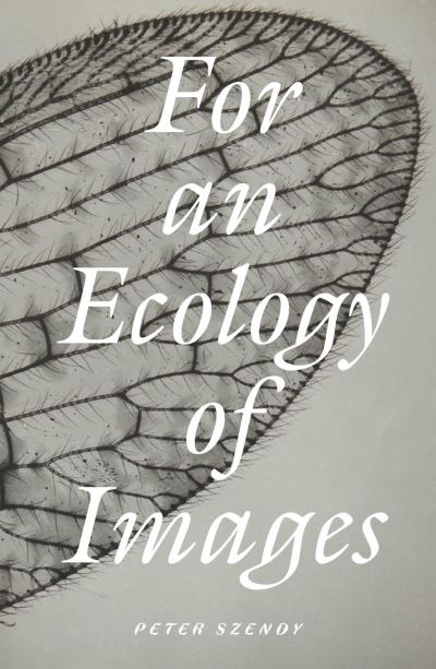 Cover for Peter Szendy · For an Ecology of Images (Paperback Book) (2025)