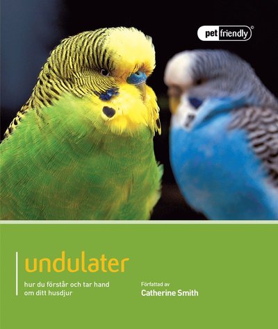 Cover for Catherine Smith · Pet Friendly: Undulater : hur du förstår och tar hand om ditt husdjur (Book) (2014)