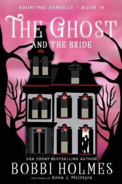 Cover for Anna J McIntyre · The Ghost and the Bride (Paperback Book) (2017)