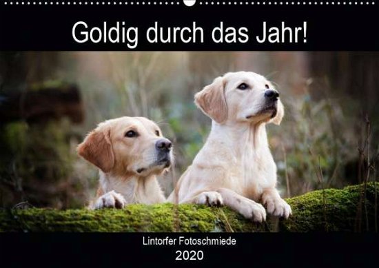 Cover for Bohlmann · Goldig durch das Jahr! (Wandka (Book)