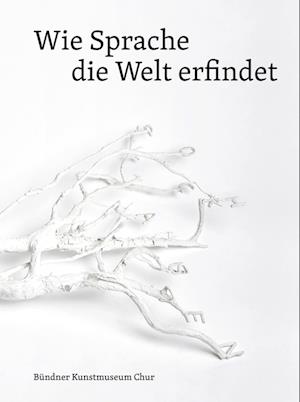 Wie Sprache die Welt erfindet - Damian Jurt - Books - DISTANZ Verlag - 9783954766314 - March 2, 2024