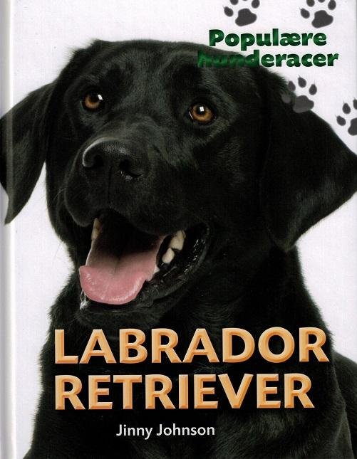 Cover for Jinny Johnson · Populære hunderacer: POPULÆRE HUNDERACER: Labrador retriever (Indbundet Bog) [1. udgave] (2016)