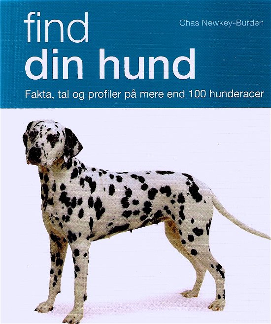 Cover for Chas Newkey-Burden · Find din hund (Innbunden bok) [1. utgave] [Indbundet] (2010)
