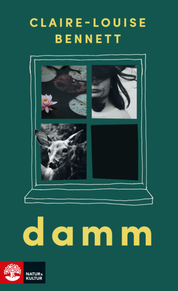 Cover for Claire-Louise Bennett · Damm (Bound Book) (2019)