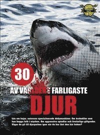 Spännande fakta: 30 av världens farligaste djur - Helgi Hrafn Gudmundsson - Livros - Katla Förlag - 9789187311314 - 11 de novembro de 2014