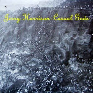 Cover for Jerry Harrison · Casual Gods (LP) (2013)