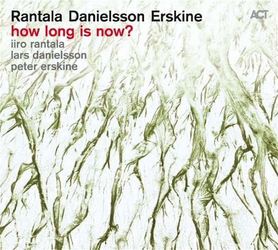 Cover for Rantala / Barron / Danielsson · How Long is Now (LP) (2016)