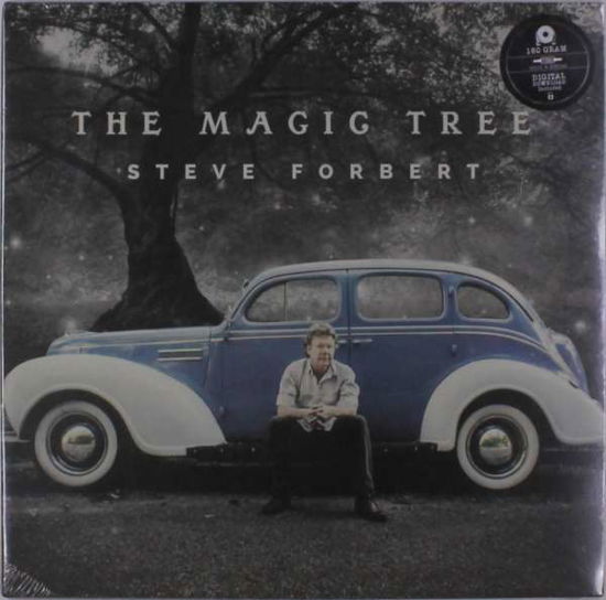 Magic Tree - Steve Forbert - Musik - BLUE ROSE - 0855820007315 - 14. September 2018