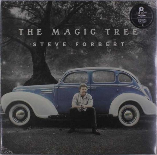 Magic Tree - Steve Forbert - Musik - BLUE ROSE - 0855820007315 - 14. september 2018