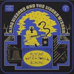 Cover for King Gizzard And The Lizard Wizard · Flying Microtonal Banana (LP) (2023)