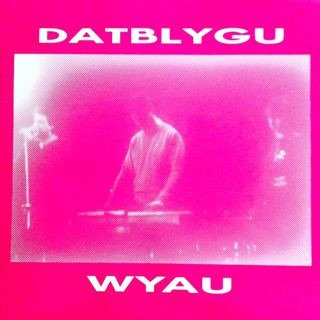 Cover for Datblygu · Wyau (LP) (2021)